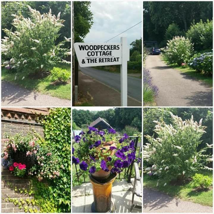 Woodpeckers Cottage B&B Pett Εξωτερικό φωτογραφία